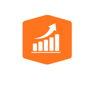 Consulting & Strategy